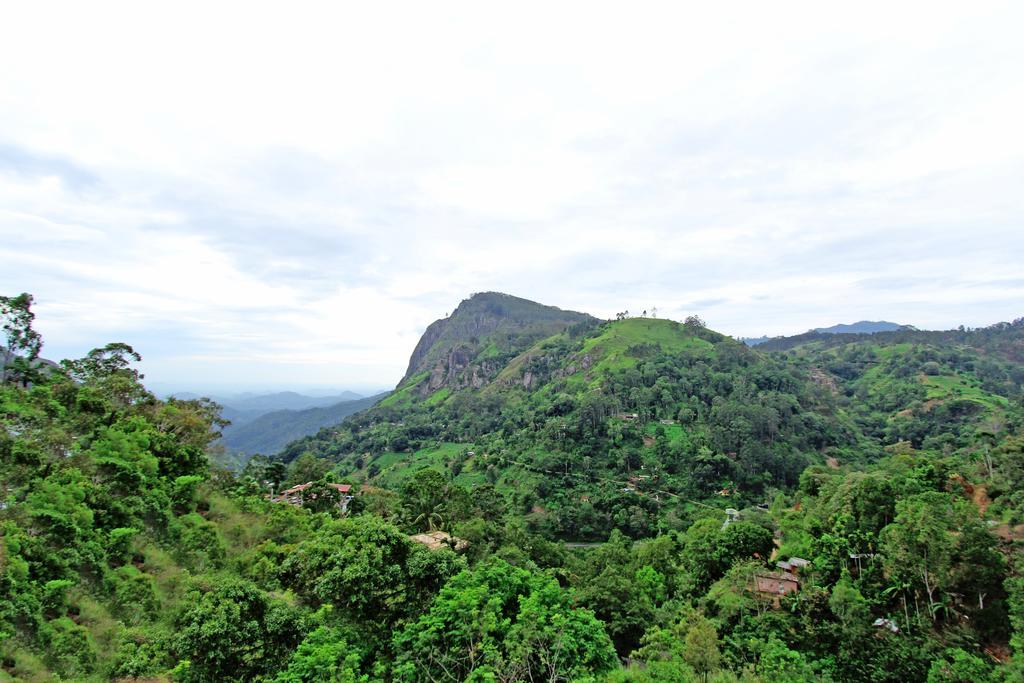 Mount Blue View Guest Inn Ella Ngoại thất bức ảnh