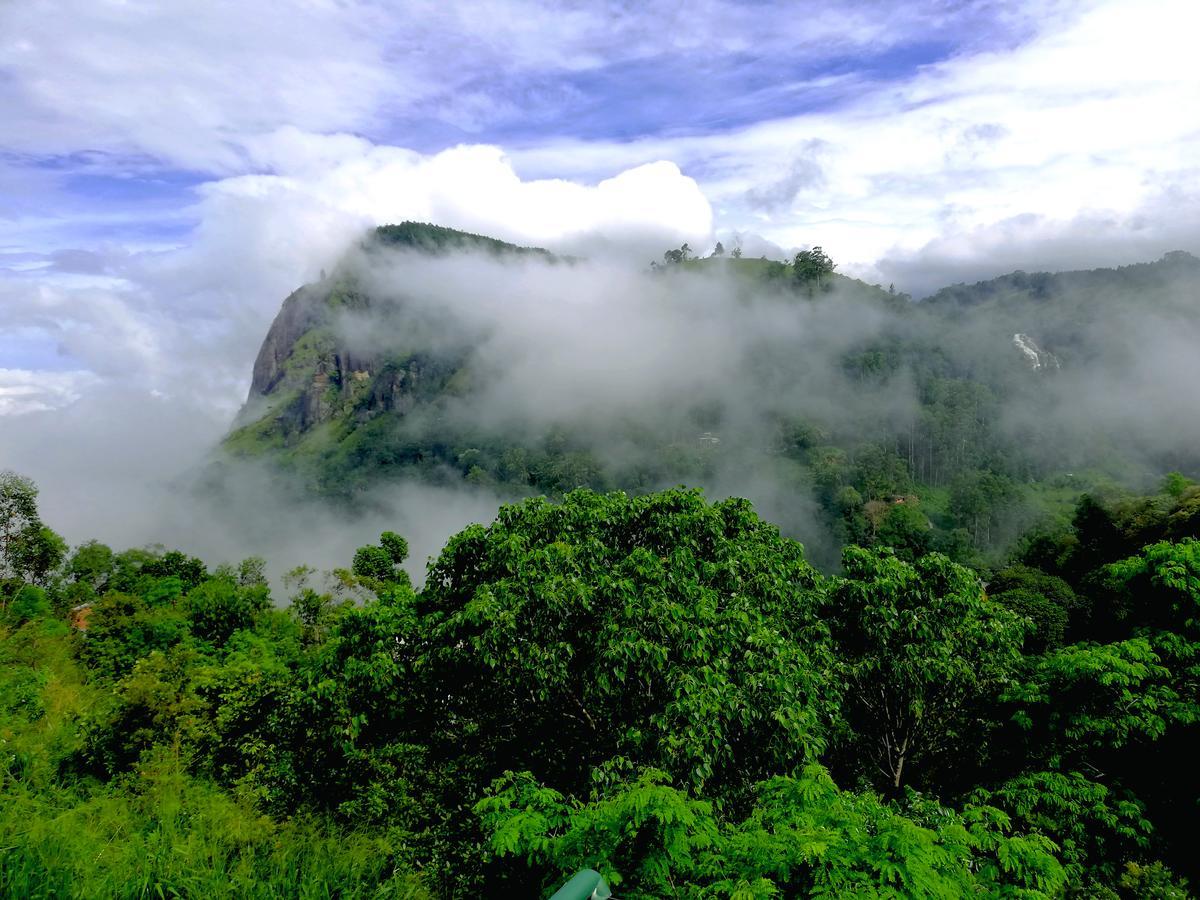 Mount Blue View Guest Inn Ella Ngoại thất bức ảnh