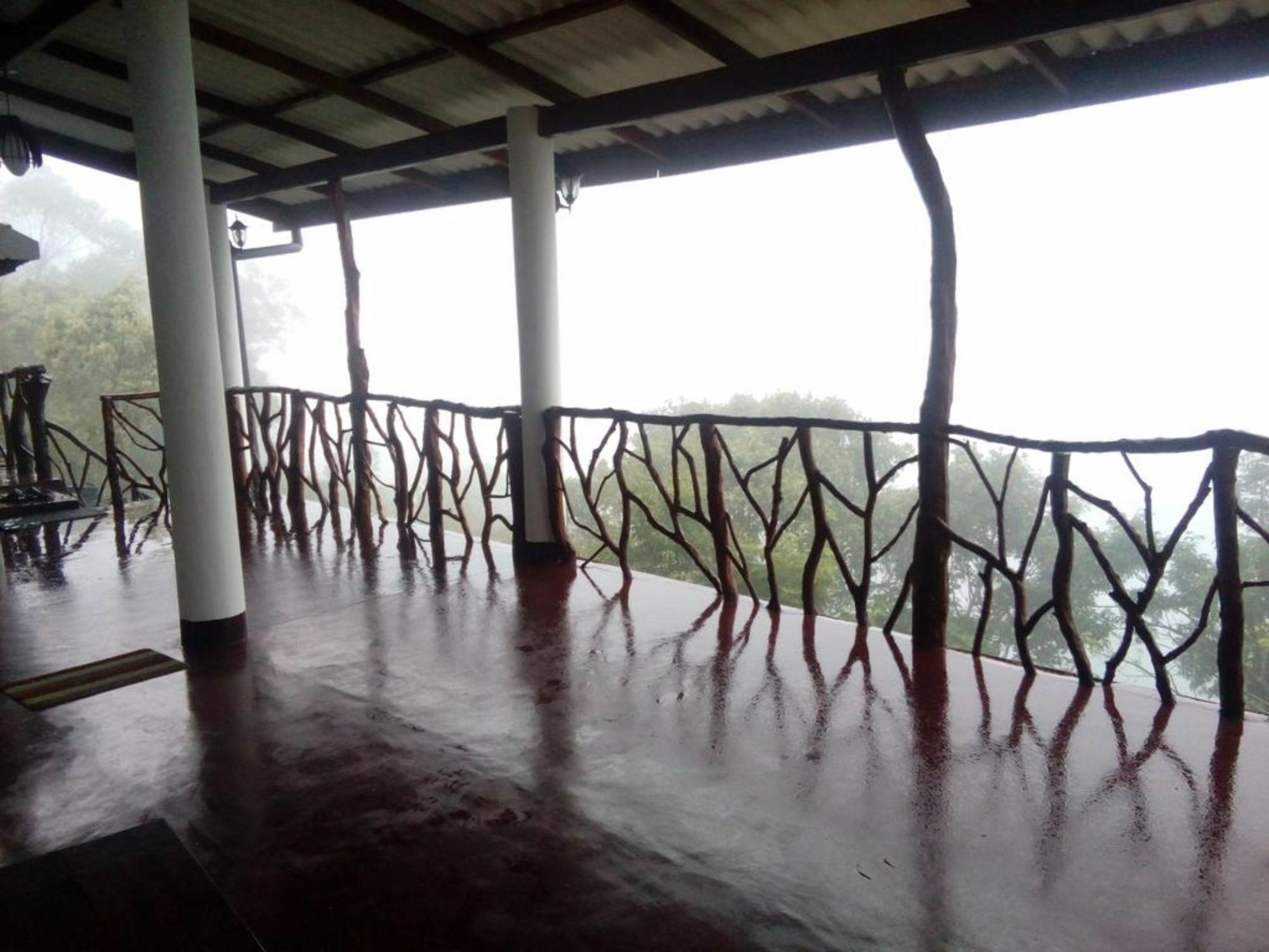 Mount Blue View Guest Inn Ella Ngoại thất bức ảnh